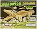 3D Puzzles - Alligator