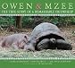 Owen & Mzee