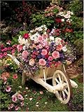 Ravensburger Puzzle - Wheelbarrow of Flowers (500 pieces)