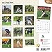Great Danes (Intl) 2016 Square 12x12