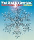 What shape is a snowflake?