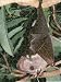 Jigsaw of Hammer-headed Fruit Bat from Ardea