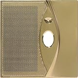 DMC10DFBB4 Door Station Faceplates Bright brass