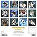 Underwater Puppies 2016 Calendar