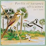 African forest and savannas
