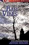 Bad Vibes: The Third Fizz & Buchanan Mystery (A Fizz & Buchanan Mystery)