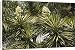 Canvas Prints of ROG-12121 A Garden Yucca from Ardea Wildlife Pets