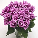 Send Fresh Cut Flowers - 25 Long Stem Lavender Roses