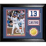Chicago Cubs Starlin Castro Player Pride Desktop Photo Mint by Highland Mint