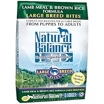 Natural Balance Dry Dog Food Limited Ingredient Diet for Large Breeds, Lamb Meal and Rice, 28 Pound Bag
