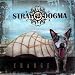 Dogma-Change