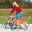 Trixie 1282 Fahrrad- und Joggingleine, 1,00-2,00 m/25 mm, schwarz