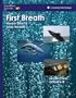 First Breath Harbor Seals and Gray Whales: Lessonplans Grades 6-8