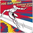 Surfing With The Alien