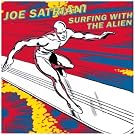 Surfing With the Alien