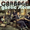 Cabbage