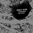 Fields Recordings From The Sun