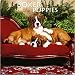 boxer4 - Boxer Puppies 2010 Mini Wall Calendar