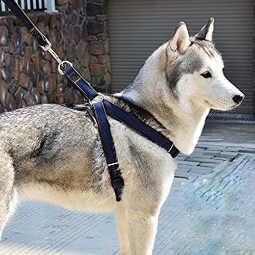 Dog Leash Harness No-Pull + 2 FREE ID TAGS , DIBESTS Adjustable and High Quality Denim Dog Training Walking Leash Collar for Large/Medium/Small Dog (XL)
