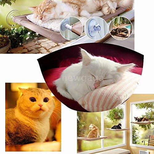 Cat Basking Window Hammock Perch Cushion Bed Hanging Shelf Seat Mounted 22 * 12"
