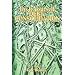 Do It Yourself Debt Consolidation