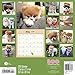 Boo Wall Calendar (2016)