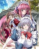 �ꤳ�ꤹ-lycoris radiata-DVDPG
