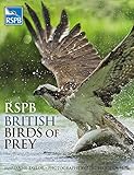 RSPB British birds of prey