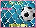 40x25 Fishing Net, Soccer, Basketball, Softball, Sports, Fish Net, Netting, Cage,