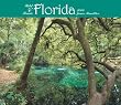 Florida, Wild & Scenic 2008 Deluxe Wall Calendar