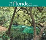 Florida, Wild & Scenic 2008 Deluxe Wall Calendar