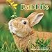 Rabbit Calendar - 2017 Wall Calendars - Calendar 2016 - Wildlife Calendar - Monthly Wall Calendar by Magnum