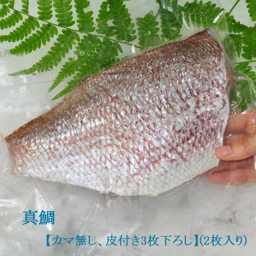 【真鯛】すごく美味しい！魚の王様(カマ無し、皮付き3枚下ろし【2枚入り(1尾)】)