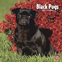 Pugs, Black 2010 Square Wall (Multilingual Edition)
