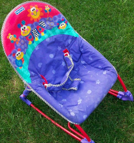 Fisher-price Infant to Toddler Rocker Bouncer Chair