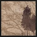 Morning Mist II Wall Art - 20 x 20"