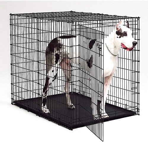 Midwest 54By35By45Inch SingleDoor Starter Series Pet Crate On