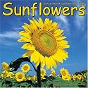 Sunflowers 2008 Wall Calendar (English, Spanish, French, Italian and German Edition)