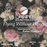 Flying Without Wings