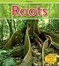 Book cover for 9781410934765