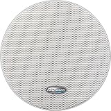10 Marine Subwoofer
