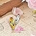 Bling Jewelry Gold Plated Comfort Fit High Polish Tungsten Band Ring 6mm