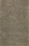 Dalyn Casual Elegance Shag Sage 837 Returnable Sample Swatch Area Rug