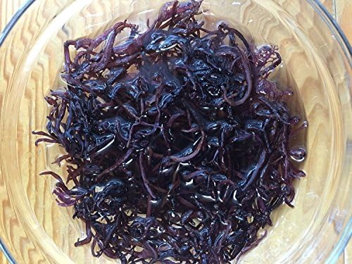 Seaweed funori (Kumamoto Prefecture Amakusa production) 50gX2