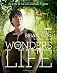 Wonders of Life