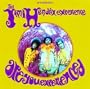 Are You Experienced