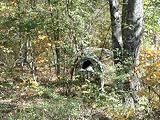 Pop-Up Game Camouflauge Ground Blind Tent w folding chair by Haynes Hunting Systems