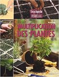 Multiplication des Plantes