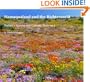 Namaqualand and the Richtersveld - Nature's Spectacular Canvas - Volume 1