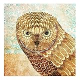Owl III Wrapped Canvas Print